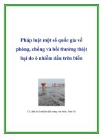 Pháp luật một số quốc gia về phòng, chống và bồi thường thiệt hại do ô nhiễm dầu trên biển pptx