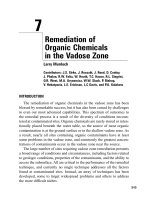 Remediation of Organic Chemicals in the Vadose Zone docx
