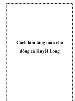 Cách làm tăng màu cho dòng cá Huyết Long pot