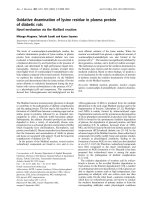 Báo cáo Y học: Oxidative deamination of lysine residue in plasma protein of diabetic rats Novel mechanism via the Maillard reaction pdf