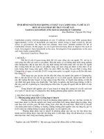 Tình hình người dân không có đất tại Campuchia và đề xuất một số giải pháp hỗ trợ vấn đề này potx