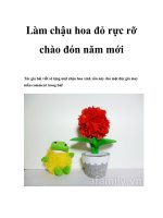 Làm chậu hoa đỏ rực rỡ chào đón năm mới pdf