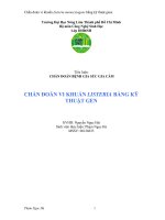 TIỂU LUẬN:CHẨN ĐOÁN VI KHUẨN LISTERIA BẰNG KỸ THUẬT GEN pptx