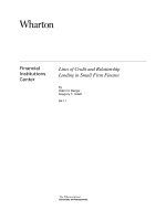 Lines of Credit and Relationship Lending in Small Firm Finance pdf