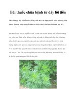Bài thuốc chữa bệnh từ dây lõi tiền pdf