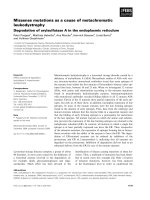 Báo cáo khoa học: Missense mutations as a cause of metachromatic leukodystrophy Degradation of arylsulfatase A in the endoplasmic reticulum potx