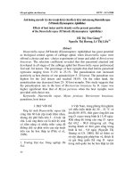 Ảnh hưởng của tuổi ký chủ và mật độ ký chủ đến tỷ lệ ký sinh của ong Diaeretiella rapae docx