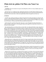 Phân tích tác phẩm Chí Phèo của Nam Cao