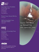 Renewing Intimacy and Sexuality After Gynecologic Cancer pdf