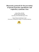 Biosecurity protocols for the prevention of spread of porcine reproductive and  respiratory syndrome virus  ppt