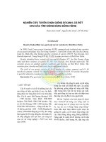 Nghiên cứu tuyển chọn giống bí xanh, cà rốt cho các tỉnh Đồng bằng sông Hồng ppt