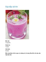 Súp bắp cải tím docx