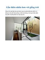 Gần thiên nhiên hơn với giếng trời pot