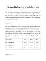 Sử dụng phân bón trong ao nuôi tôm nước lợ pot