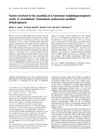 Báo cáo khoa học: Factors involved in the assembly of a functional molybdopyranopterin center in recombinant Comamonas acidovorans xanthine dehydrogenase pot