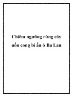 Chiêm ngưỡng rừng cây uốn cong bí ẩn ở Ba Lan pptx