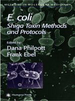 E. coli Shiga Toxin Methods and Protocols doc
