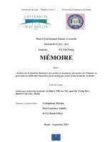«Analyse de la situation financière des petites et moyennes entreprises au Vietnam, en particulier les difficultés financières de la société par action d’internationale An Binh».