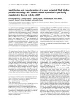 Báo cáo Y học: Identiﬁcation and characterization of a novel activated RhoB binding protein containing a PDZ domain whose expression is speciﬁcally modulated in thyroid cells by cAMP pot