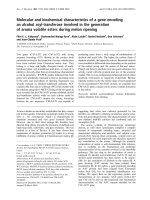 Báo cáo Y học: Molecular and biochemical characteristics of a gene encoding an alcohol acyl-transferase involved in the generation of aroma volatile esters during melon ripening pptx