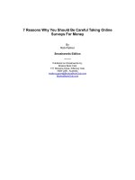 7 Reasons Why You Should Be Careful Taking Online Surveys For Money doc