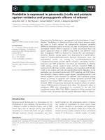 Báo cáo khoa học: Prohibitin is expressed in pancreatic b-cells and protects against oxidative and proapoptotic effects of ethanol pdf