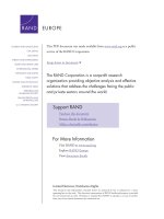 Network-Based Operations for the Swedish Defence Forces pot