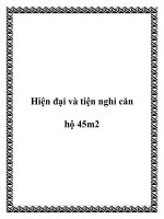 Hiện đại và tiện nghi căn hộ 45m2 potx