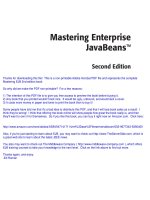 Mastering Enterprise Java Beans pdf