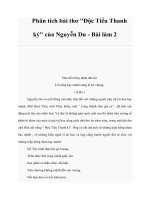 Phân tích bài thơ "Độc Tiểu Thanh ký" của Nguyễn Du - Bài làm 2 pptx