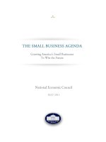 THE SMALL BUSINESS AGENDA GROWING ANERICA''''S SMALL BUSINESS TO WIN THE FUTURE doc