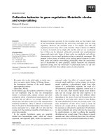 Báo cáo khoa học: Collective behavior in gene regulation: Metabolic clocks and cross-talking doc