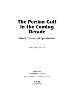 The Persian Gulf in the Coming Decade docx