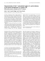 Báo cáo khoa học: Characterization of the 5¢ untranslated region of a and b isoforms of the human thromboxane A2 receptor (TP) Differential promoter utilization by the TP isoforms doc
