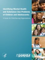 Identifying Mental Health and Substance Use Problems of Children and Adolescents: A Guide for Child-Serving Organizations ppt