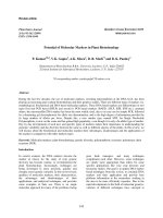 Vì sao genes lại là đơn vị cơ bản cho cấp độ di truyền