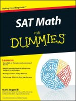 sat math for dummies