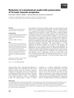 Báo cáo khoa học: Reduction of a biochemical model with preservation of its basic dynamic properties doc