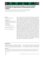 Báo cáo khoa học: Nanoparticles can induce changes in the intracellular metabolism of lipids without compromising cellular viability docx