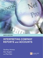 Interpreting Company Reports and Accounts docx