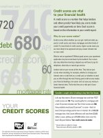 Your credit score - CREDIT SCORES ARE VITAL TO YOUR FINANCIAL HEALTH potx