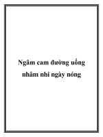 Ngâm cam đường uống nhâm nhi ngày nóng docx