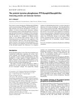 Báo cáo khoa học: The protein tyrosine phosphatase PTP-Basophil/Basophil-like Interacting proteins and molecular functions doc