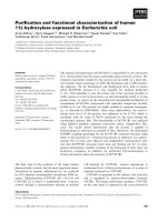 Báo cáo khoa học: Puriﬁcation and functional characterization of human 11b hydroxylase expressed in Escherichia coli doc