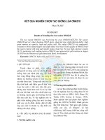 Kết quả nghiên cứu chọn tạo giống lúa OM4218 pot