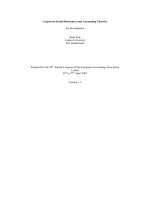 Corporate Social Disclosures and Accounting Theories: An Investigation docx