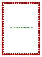 Tác dụng chữa bệnh từ cây gai docx