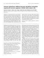 Báo cáo khoa học: Antisense glutaminase inhibition decreases glutathione antioxidant capacity and increases apoptosis in Ehrlich ascitic tumour cells docx