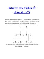 Di truyền gene trội liên kết nhiễm sắc thể X docx