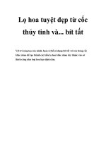 Lọ hoa tuyệt đẹp từ cốc thủy tinh và... bít tất pot
